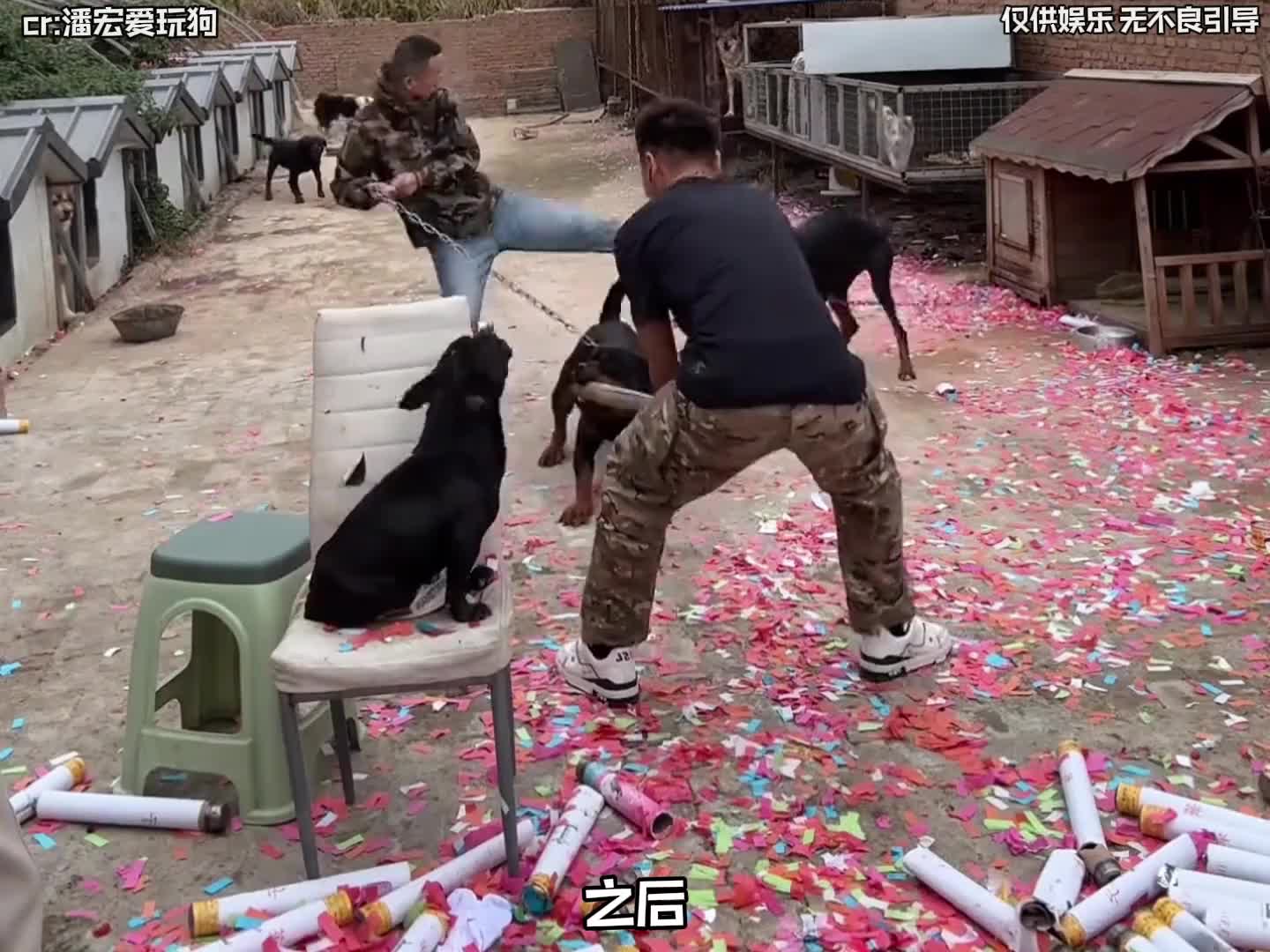 助理有事是真敢上！