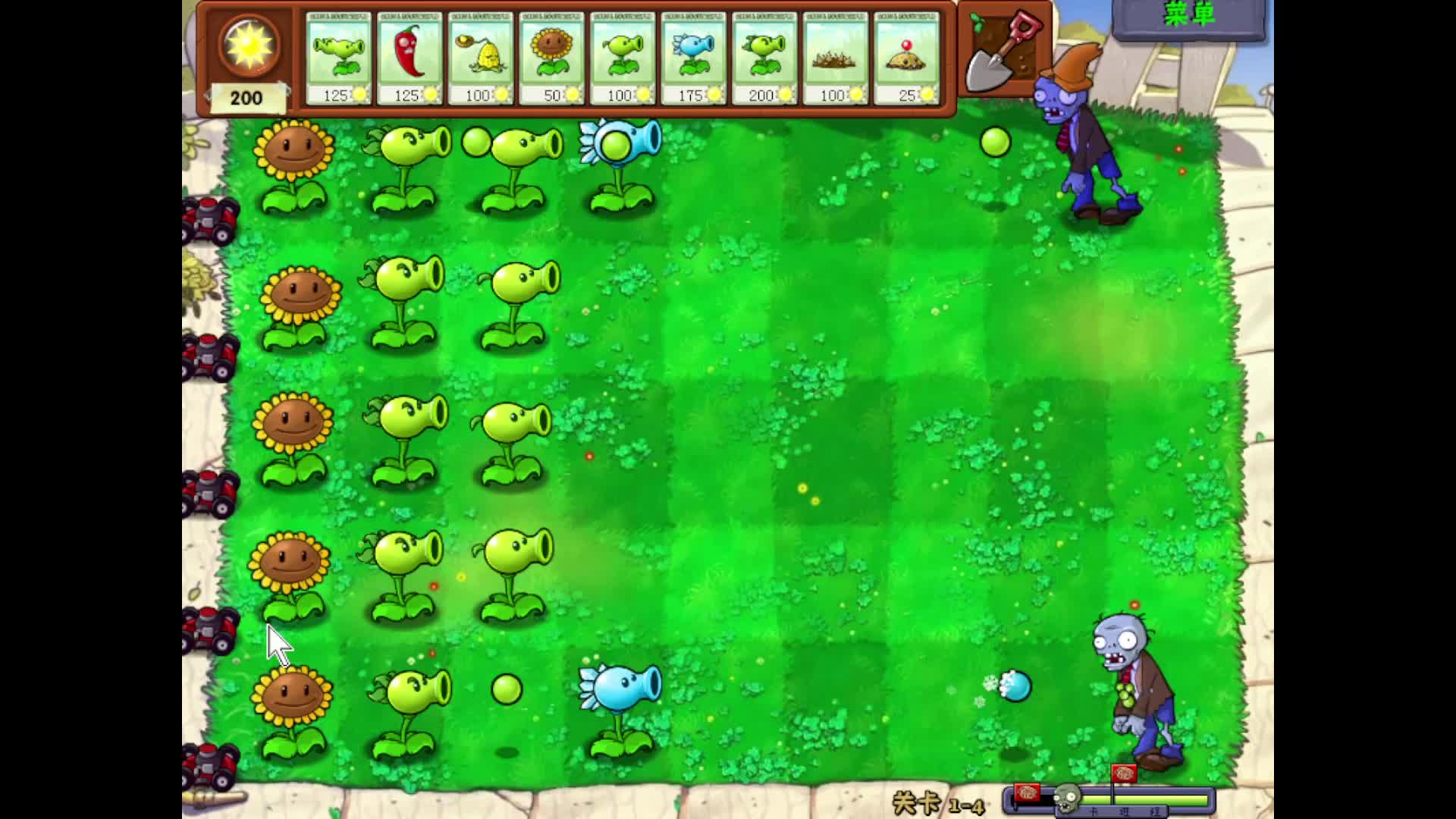 前院白天第二轮