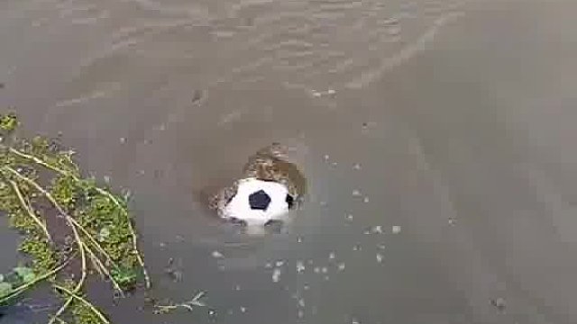 你说我要是从这跳下去，会不会从后面出来