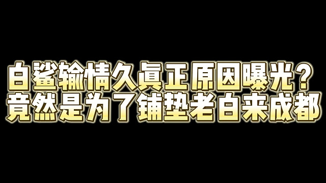 白鲨输情久真正原因曝光？竟然是为了铺垫老白来成都