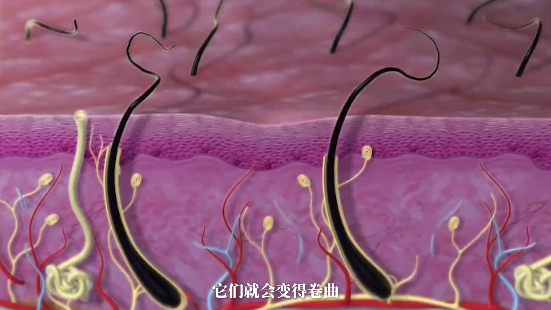 这些男女间的区别你了解那些，一探究竟！