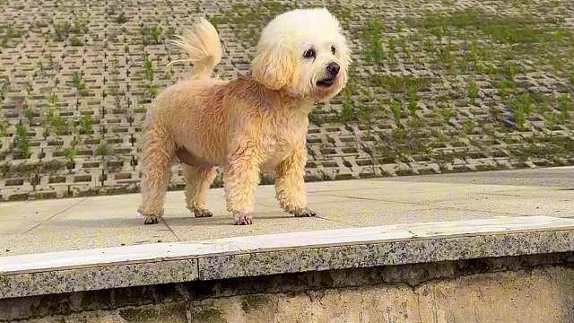 啊！！！！你倒是开心了！！！