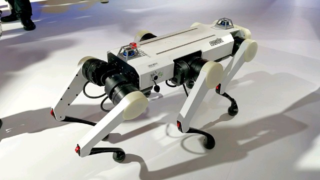 外国姐姐逗机器狗狗