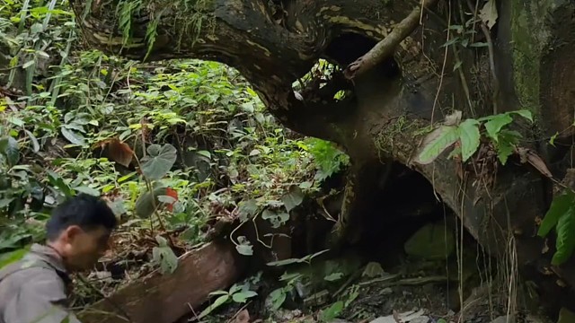 一人如何荒野求生