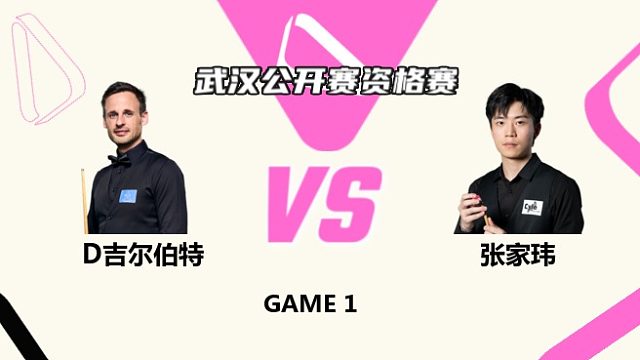 大卫·吉尔伯特  VS  张家玮 2025斯诺克武汉公开赛资格赛 清流