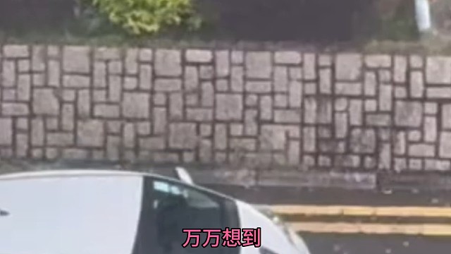 开个老头乐竟然这么有实力