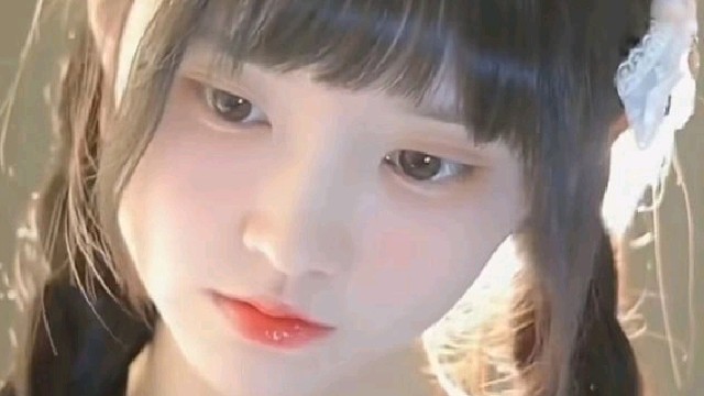 狸花（广东江门市新会区司前镇）