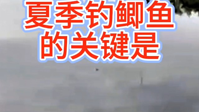 夏季钓鲫鱼的关键是什么？