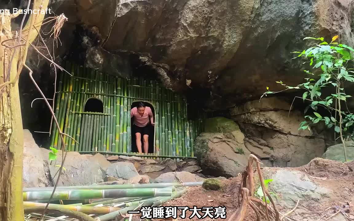 搭建防空洞式庇护所，实现野味自由(3)