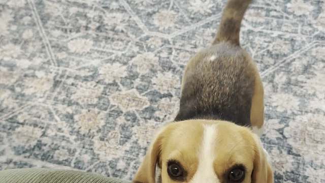 反向忍人，就是不摸