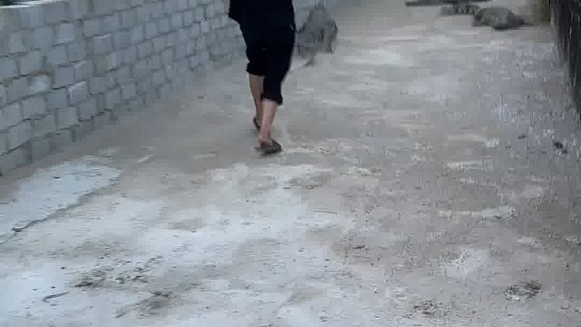 论铁铲与鳄鱼头产生的化学反应