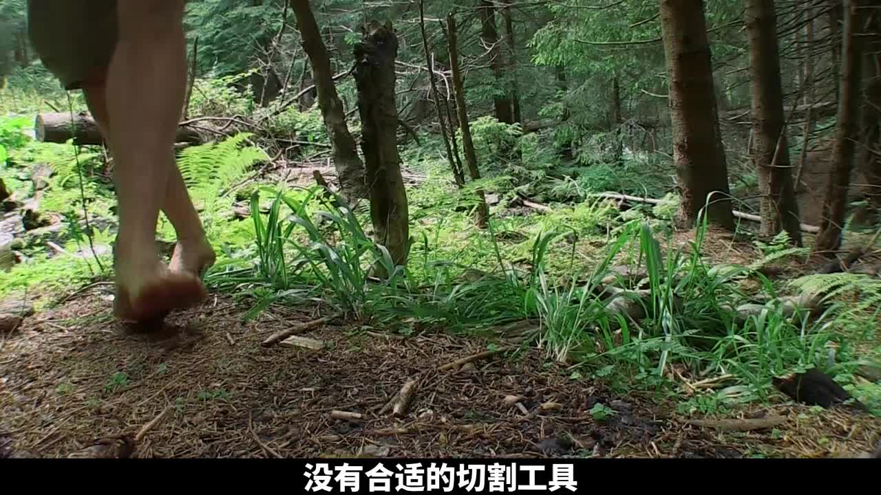 德爷罗马尼亚荒野求生，抓到九十九斤梅花鹿，吃上烤鹿腿(3)