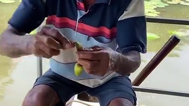 咱小时候怎么就是没有人家玩的花呢 。