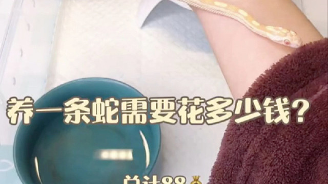 【珍妮捅了鼠窝】视频已打包，欢迎围观！