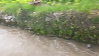 7.5 集夢小小小酷哥-組織直播名場面