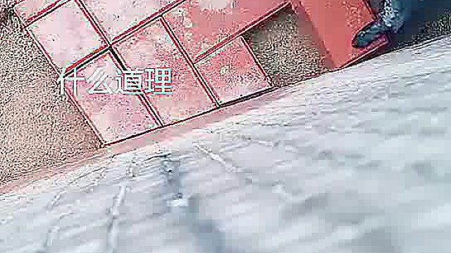 我擦，谁能告诉我咋回事