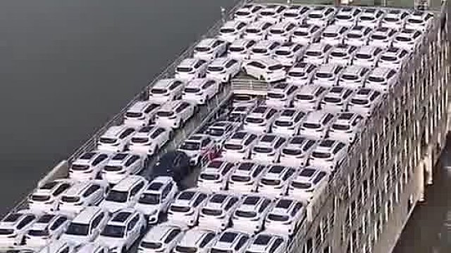 如果一台车10万，这一船得50万多万吧