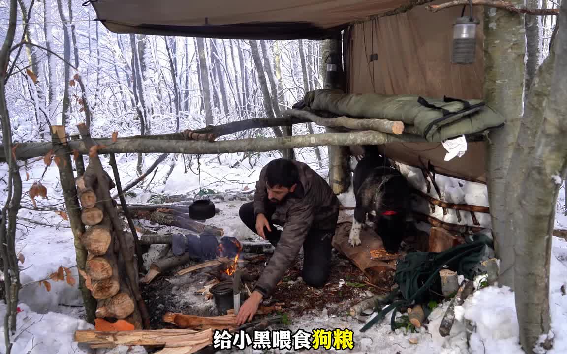 在有熊出没的森林里生存三天，搭建庇护所(2)