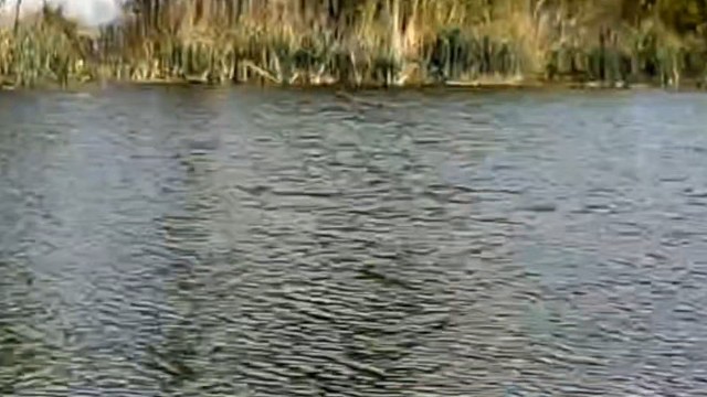 野钓时鱼不开口咋办？