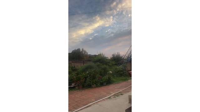 妈妈说今天的阳光不一样，我说阳光太大了太晒了