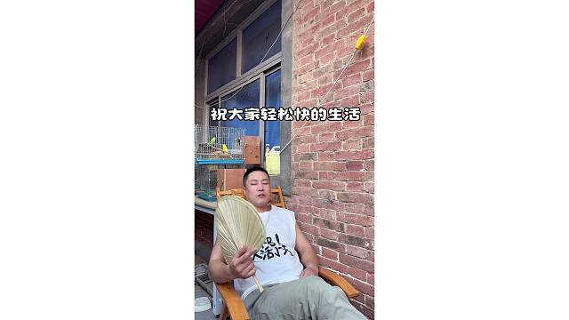 我向往轻松快乐的生活 狗 鸟 我 一碗面