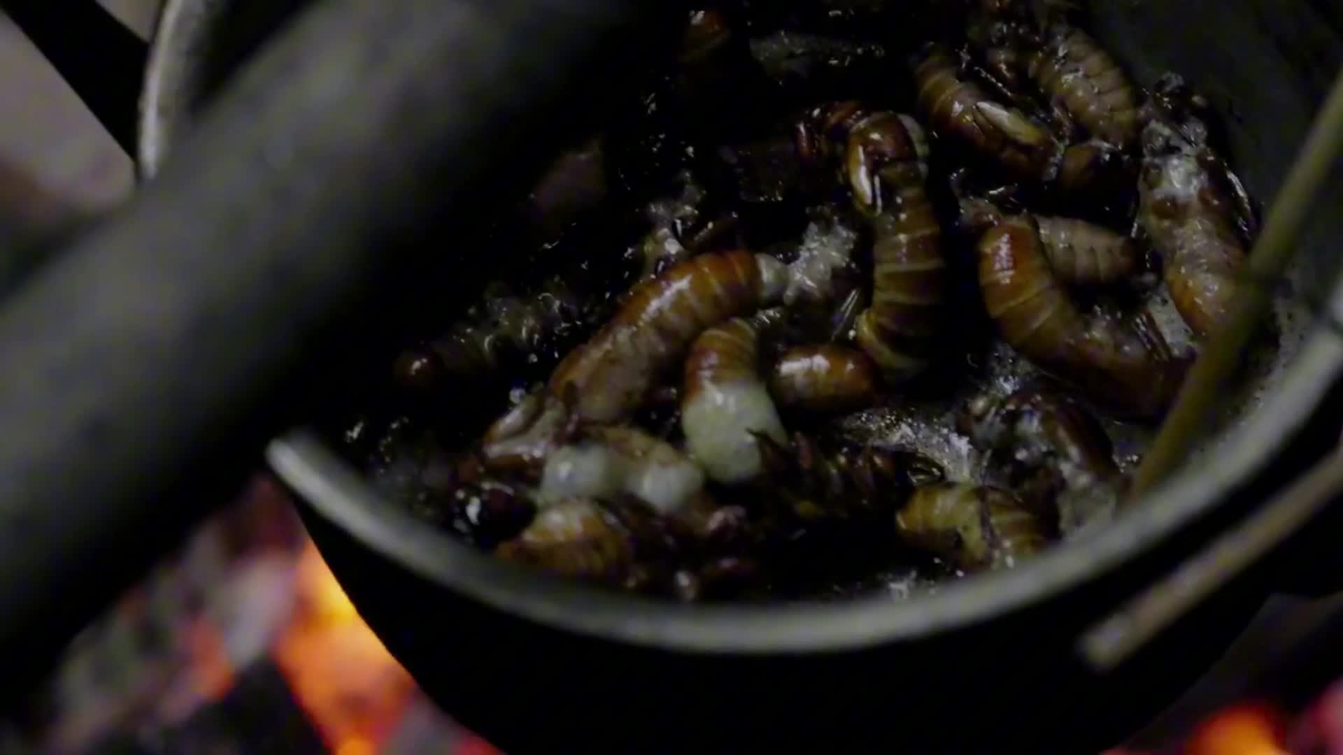 太野了！妹子荒野零工具求生：手搓庇护所不算啥，露天澡堂才是王炸