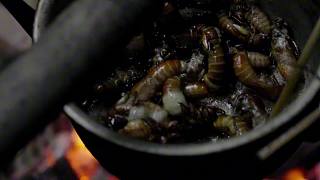 太野了！妹子荒野零工具求生：手搓庇護(hù)所不算啥，露天澡堂才是王炸