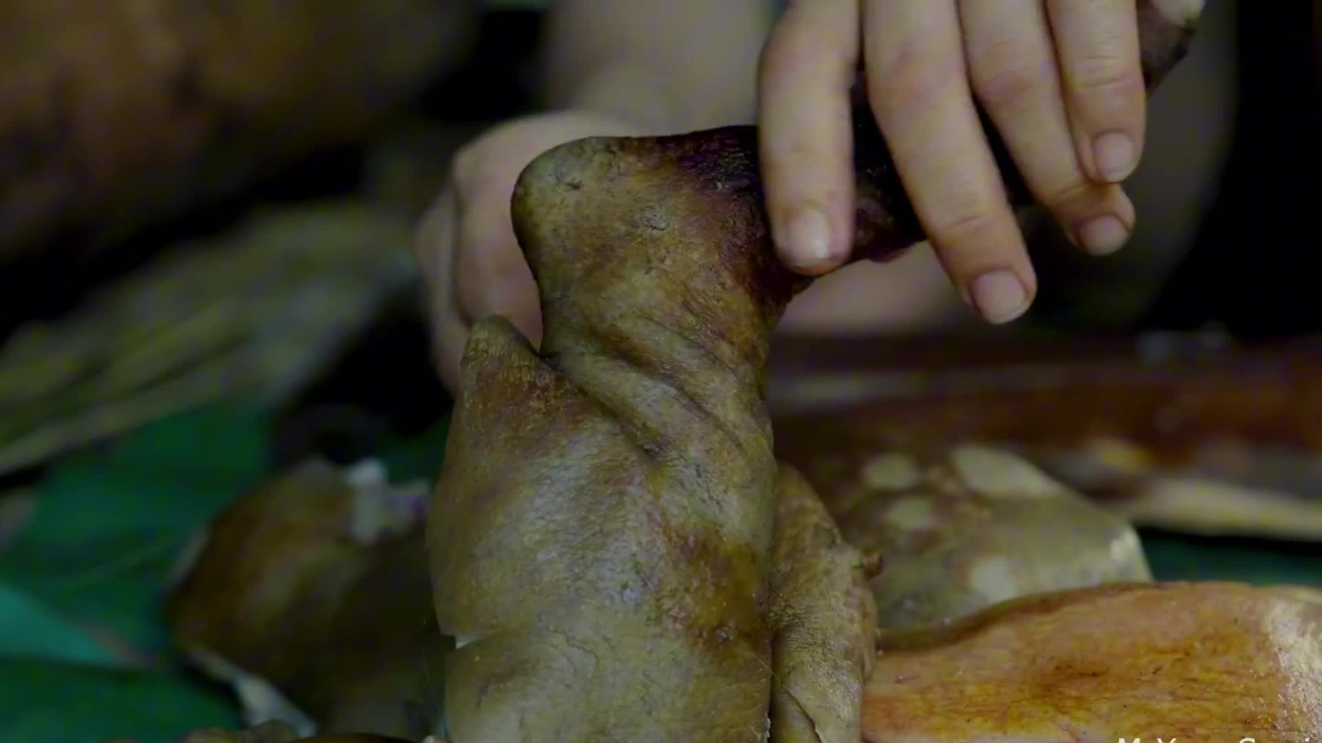 离谱又上头！妹子荒野零装备手搓庇护所，露天澡堂竟成最大惊喜