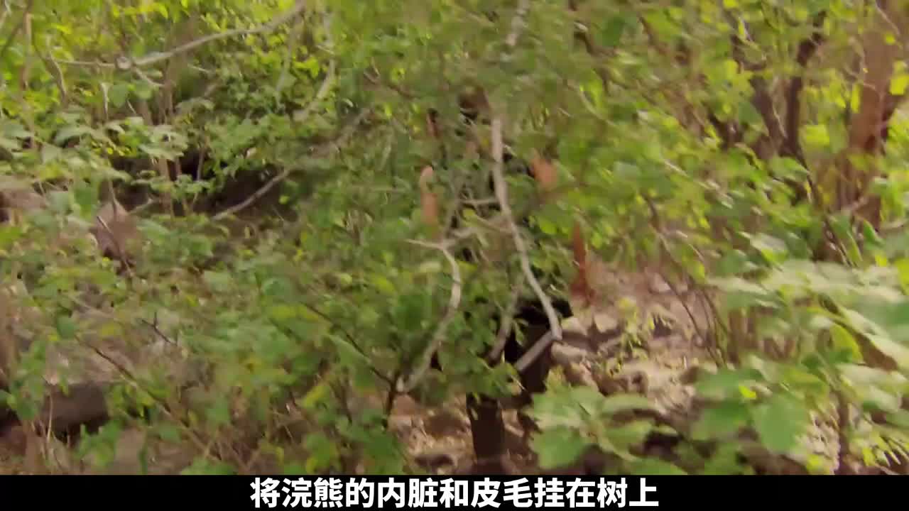 猎人和厨子墨西哥青铜峡谷荒野求生，捕获一头凶猛浣熊，吃上铁锅焖火鸡！(3)