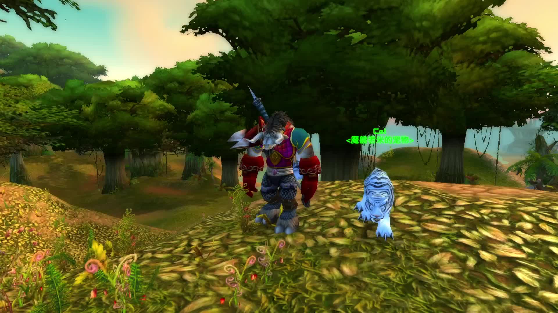 魔兽世界：猎人中期贼拉风的宝宝就是它了！荆棘谷虎王邦加拉什