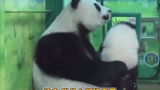 萌萌真就是有一套自己的带娃方式啊