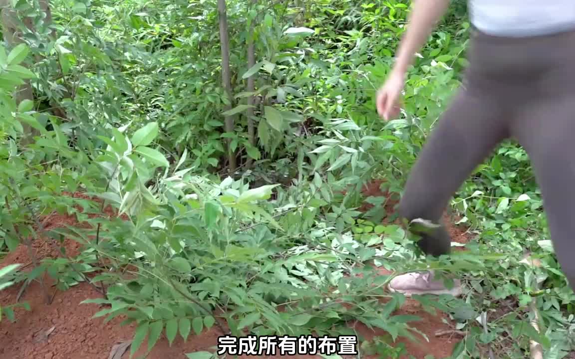 拯救掉进陷阱失足小山羊，在水塘中捕捉大鱼