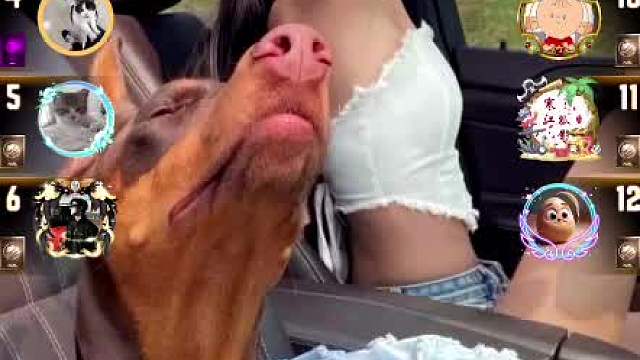 天天狼人#认真游戏-片段23（怂狼局随便打呢）