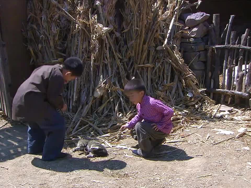 第1集：孩子们嘴馋吃了猫肉，结果后悔莫及！