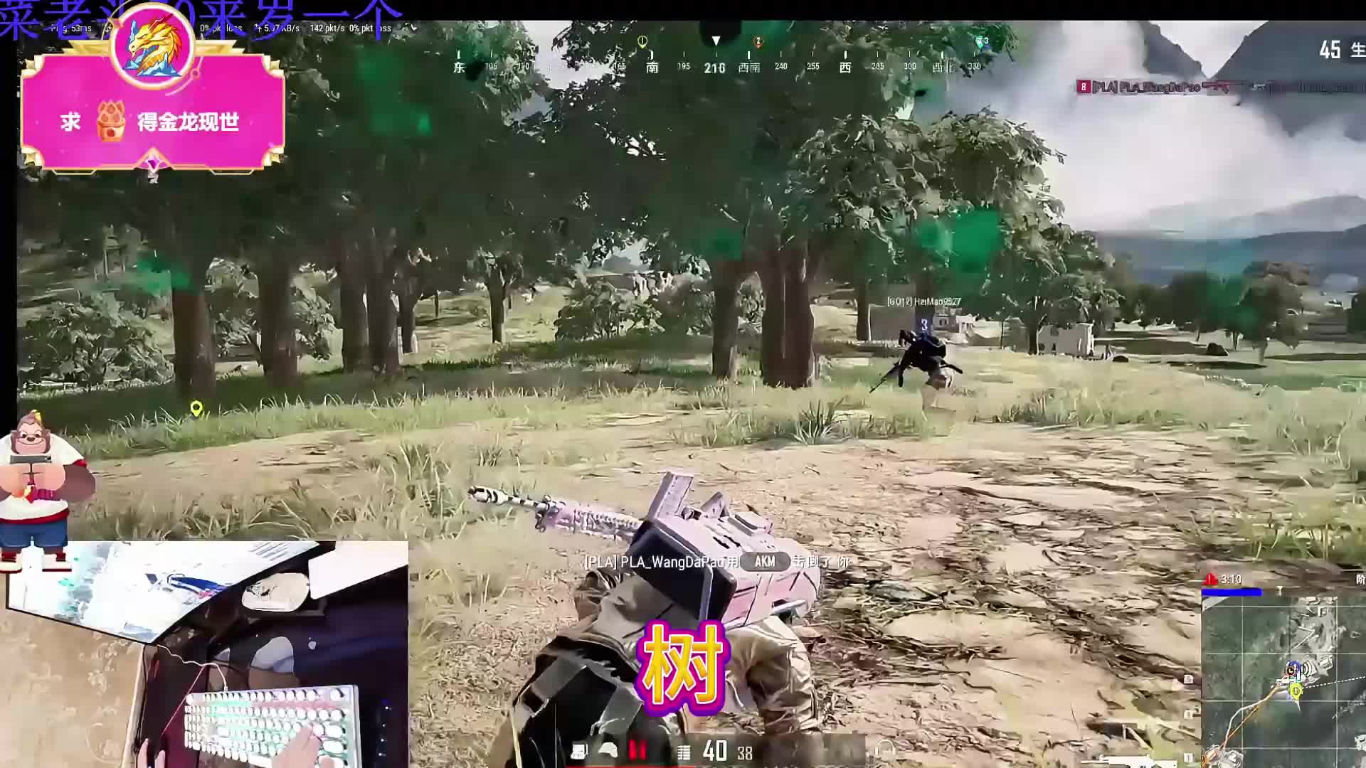 小老头排位娱乐