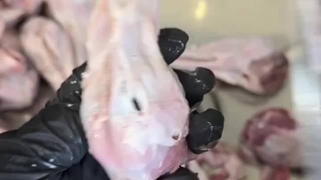 一个视频让你戒掉辣卤鸭脑壳吃饭就划走别说没提醒你奥