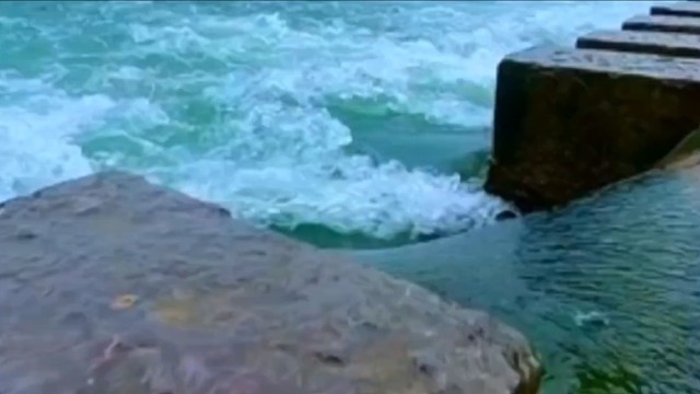 智慧生活启迪人生