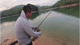 天天上大草魚