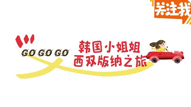 韩国小姐姐西双版纳之旅