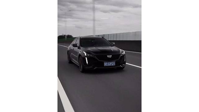 潇洒是我的天性，帅是命中注定