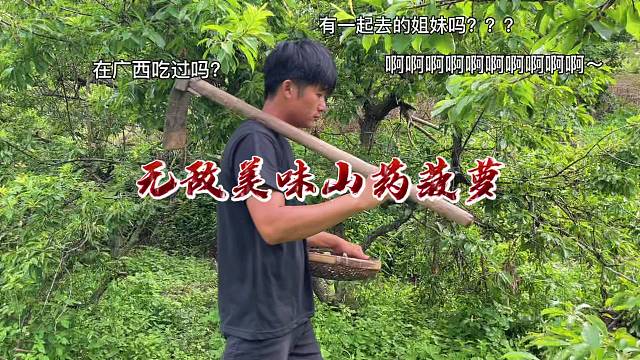大自然的馈赠，山药挖出来与菠萝做出一道香甜可口的美食