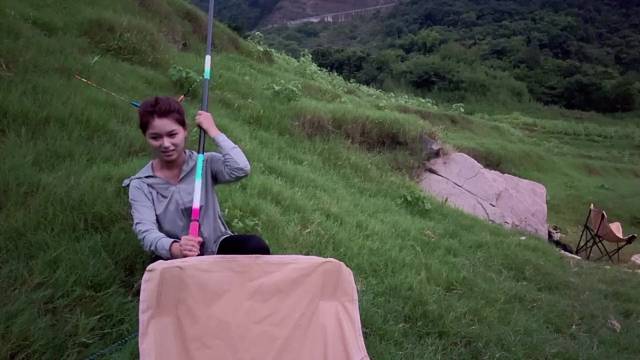 天线宝宝通电连杆鲤鱼