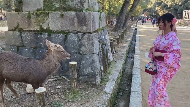 看看这动物回头在看看月下之龙唉