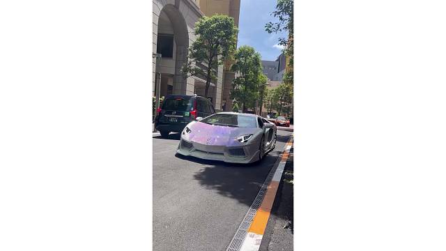 整条街最靓的仔