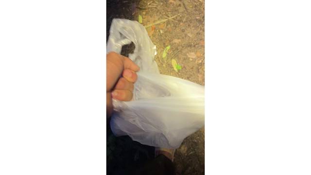 今天两条花鲢30斤提不动