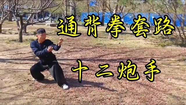 通背拳套路十二炮手