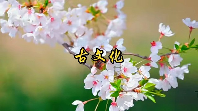 被误解的传统文化