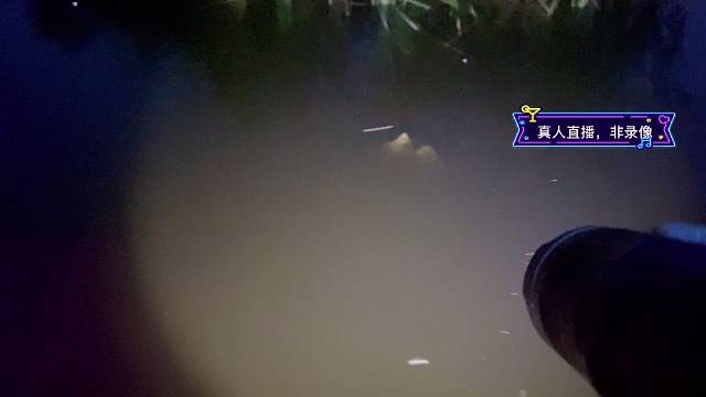 吨吨吨。人就下河了