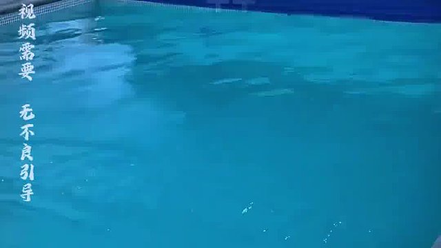 国外老哥一下逮住了，在自家渐池里撇际的家伙