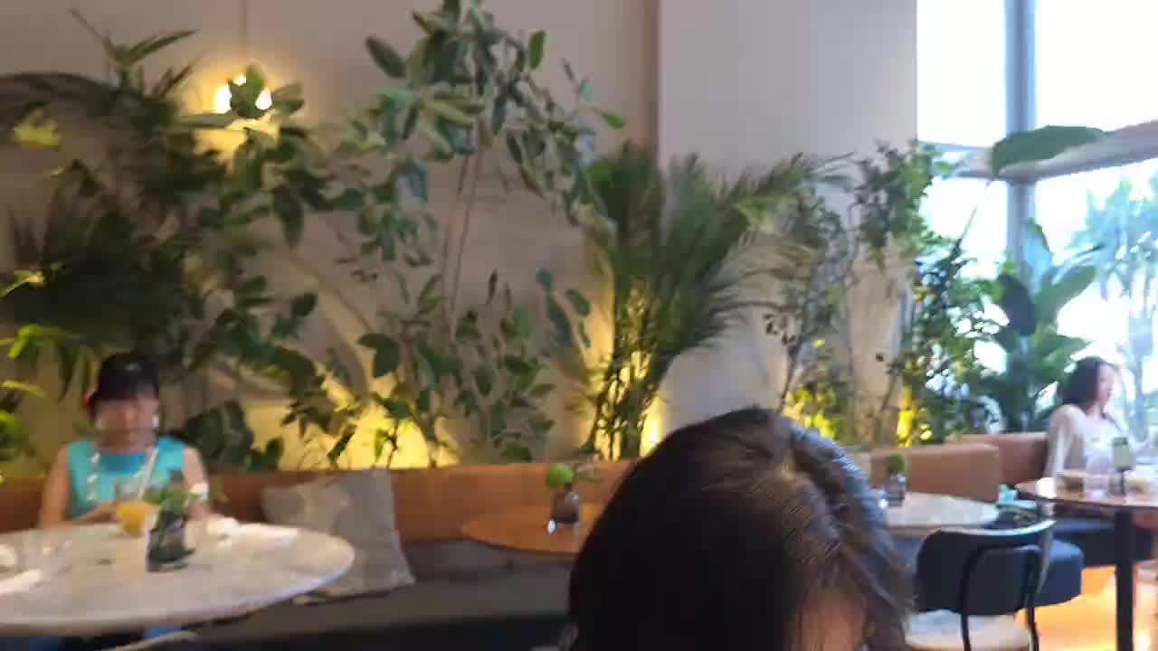 欢迎来到我的直播间